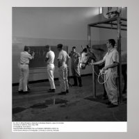 Large Animal Clinic, UC Davis, 1966