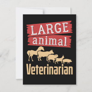 Large Animal Veterinarian Livestock Vet Postcard