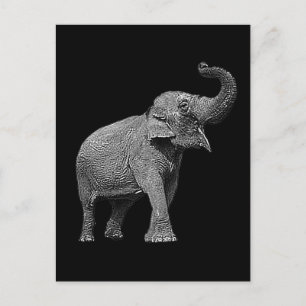 LARGE ASIAN ELEPHANT - INDIAN ELEPHANT POSTCARD