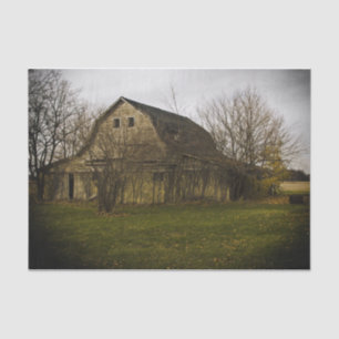 Large Bare Barn Surrounded by Large Bare Trees Tissue Paper