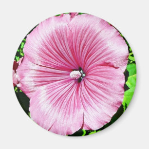 Large Beautiful Flower Magnet