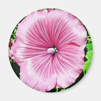 Large Beautiful Flower Magnet