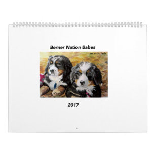 Large Berner Nation Babes 2017 calender Calendar