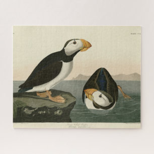 Large billed Puffin - Audubon's Birds of America Jigsaw Puzzle