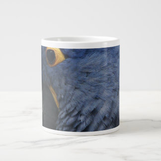 Large blue macaw on large coffee mug