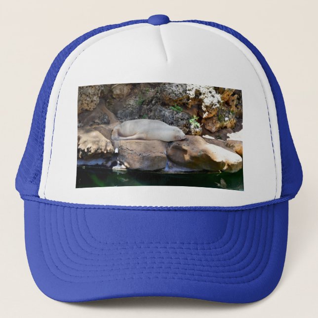 Large Bull Seal Asleep On Rocks, Trucker Hat (Front)