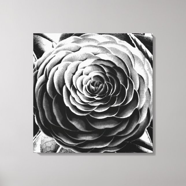 Large Camellia, Black, White and Grey / Grey Canvas Print (Front)