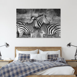 Large Canvas Print - African Zebra's