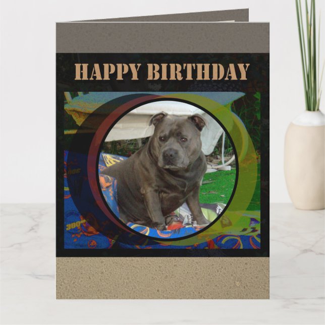 Large Card | Staffordshire Bull Terrier Birthday (Front)