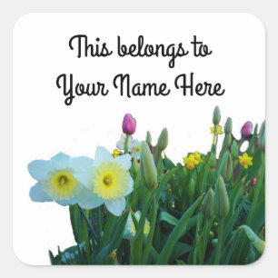 Large-Cupped Daffodil #2 Stickers