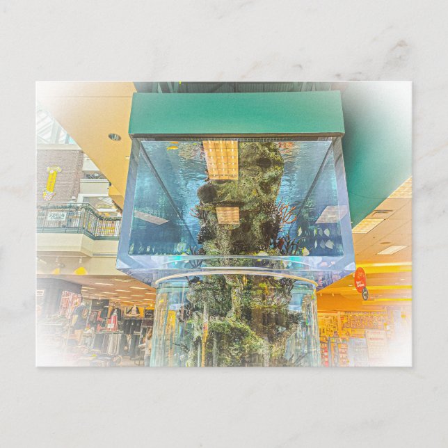 Large Cylindrical Aquarium Postcard (Front)