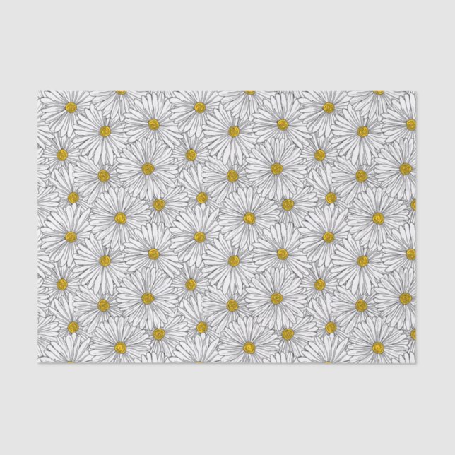 Large Daisy 10lb Tissue Paper, White Tissue Paper (Front)