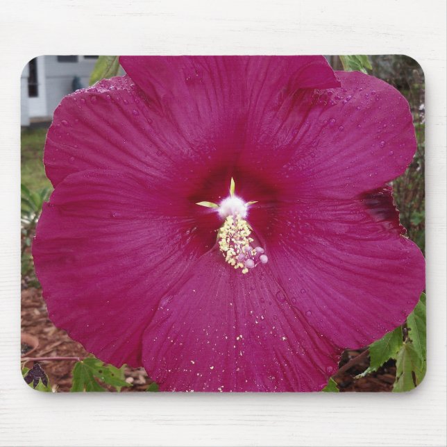 large dark red Hibiscus Mouse Mat (Front)
