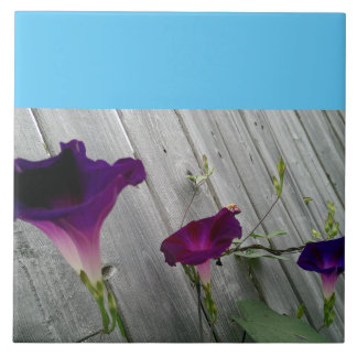 Large, Decorative Tile