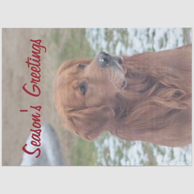 Large Dog Season's Greetings Tissue Paper (Front)