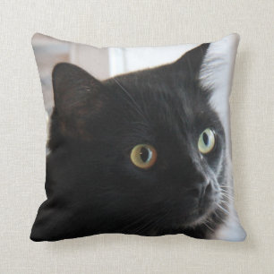 Large-eyed Black Cat Pillow, home or dorm Cushion
