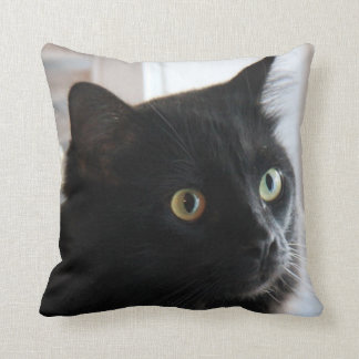Large-eyed Black Cat Pillow, home or dorm Cushion