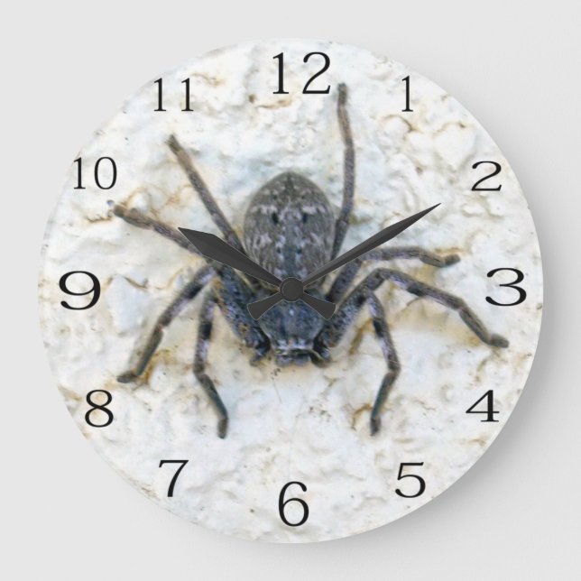Large Female Huntsman Spider, Large Clock (Front)