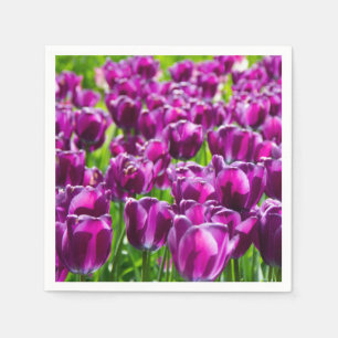 Large field of purple tulips    napkin