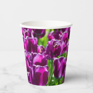 Large field of purple tulips paper cups