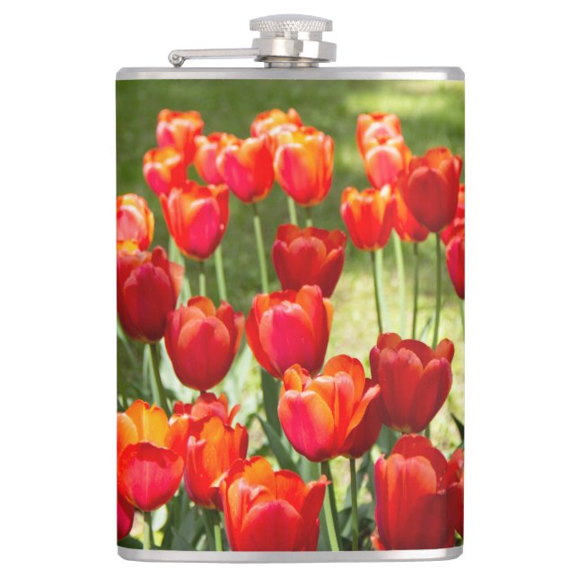 Large field of red tulips  hip flask (Front)