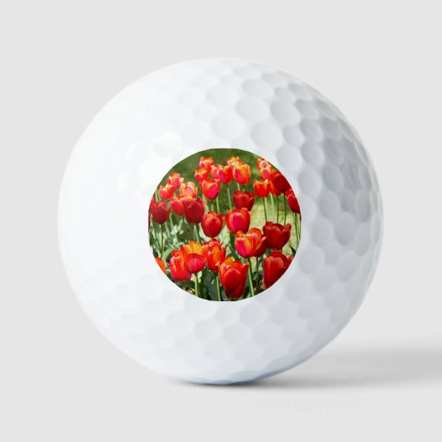 Large field of red tulips jigsaw  golf balls (Front)