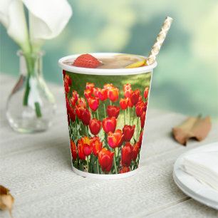 Large field of red tulips paper cups