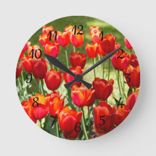 Large field of red tulips  round clock
