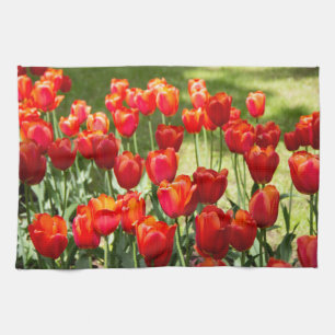 Large field of red tulips     tea towel