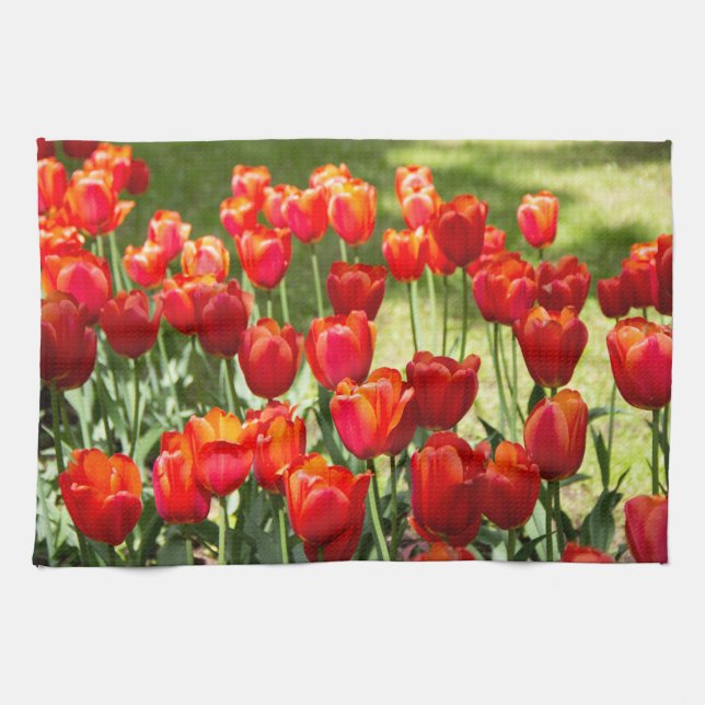 Large field of red tulips     tea towel (Horizontal)