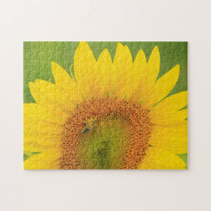 Large field of sunflowers near Moses Lake, WA 1 Jigsaw Puzzle