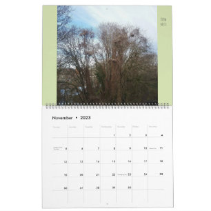 Large Flora & Fauna "Downyland" Neighborhood Calendar