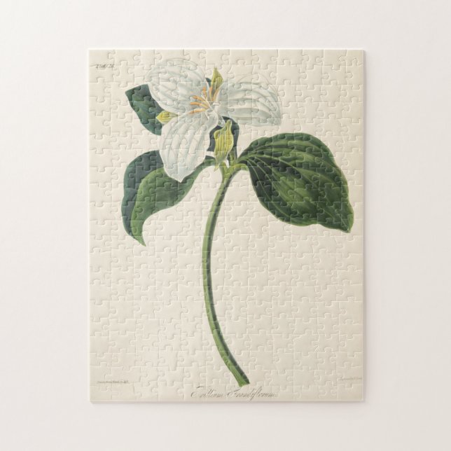 Large Flowered Trillium Jigsaw Puzzle (Vertical)