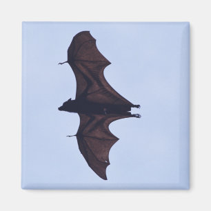 Large Flying  Bat Magnet