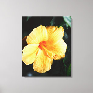 Large format Orange Yellow Hibiscus Picture Canvas Print