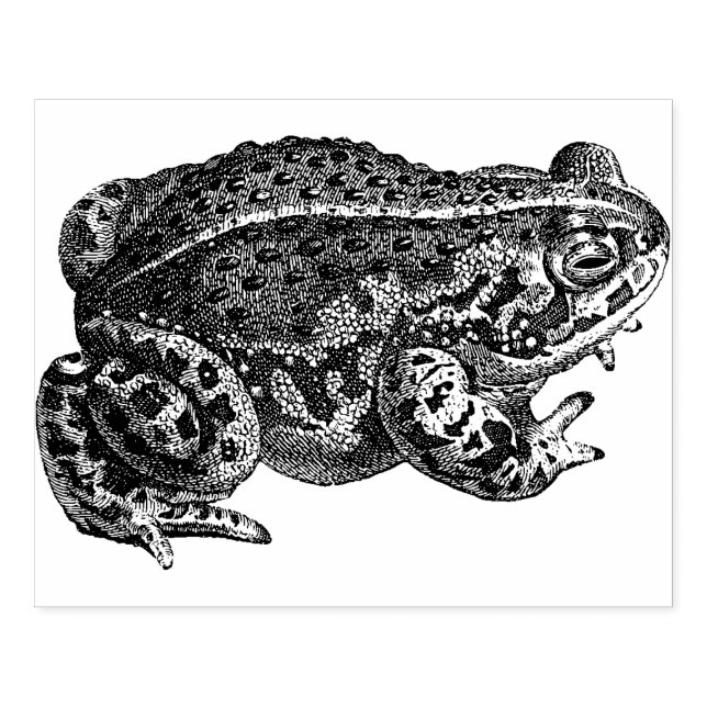 Large Frog Rubber Stamp (Imprint)
