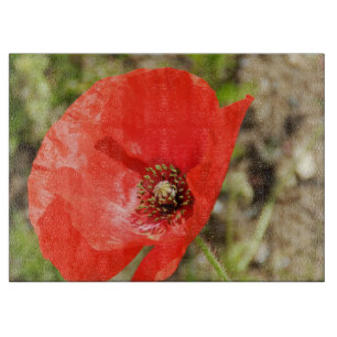 Large Glass Cutting Board with Red Poppies