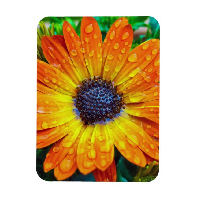 Large Golden Flower Close Up Magnet (Vertical)