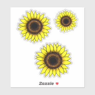 Large Golden Yellow Sunflowers 