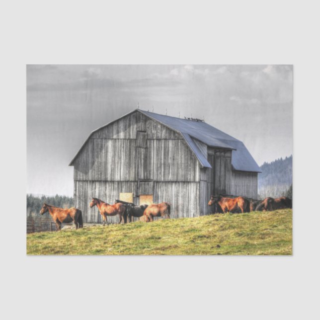 Large Grey Barn and Majestic Horses  Tissue Paper (Front)
