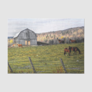 Large Grey Horse Barn  Tissue Paper