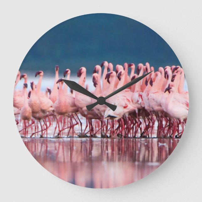 Large Group Of Lesser Flamingos Clock (Front)