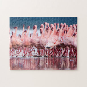 Large Group Of Lesser Flamingos Jigsaw Puzzle