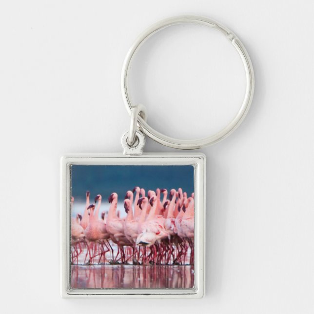 Large Group Of Lesser Flamingos Key Ring (Front)