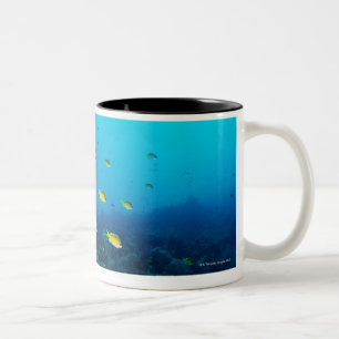 Large group of Ocellated Orange fish swimming Two-Tone Coffee Mug