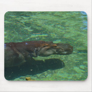 Large Hippo Swimming Under Water, Mouse Mat