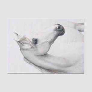 Large Illustration of a Beautiful White Horse Tissue Paper
