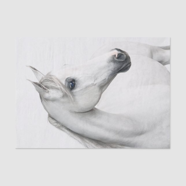 Large Illustration of a Beautiful White Horse Tissue Paper (Front)