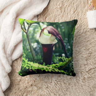 Large Jack In The Pulpit Flower Close Up  Cushion