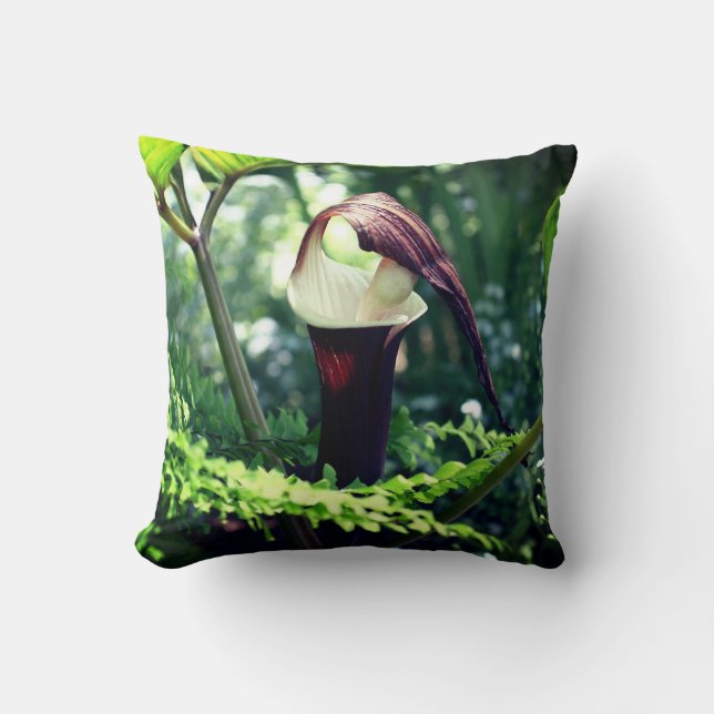 Large Jack In The Pulpit Flower Close Up  Cushion (Front)